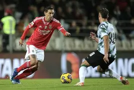 欧宝体育入口-赛默飞官网热线